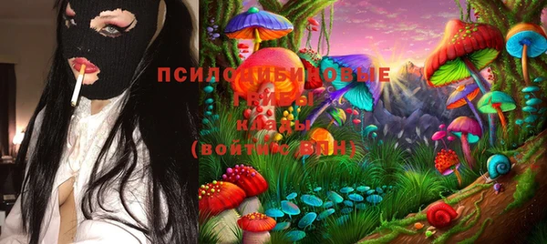 PSILOCYBIN Бугульма